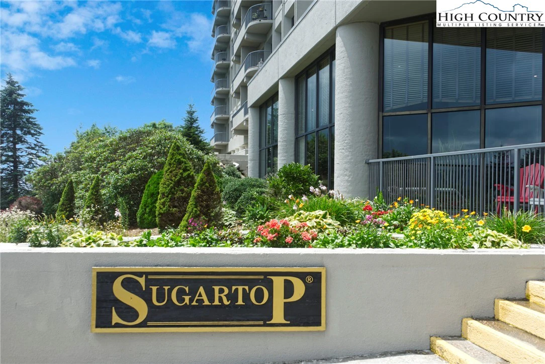 Image number 1 for the current listing
