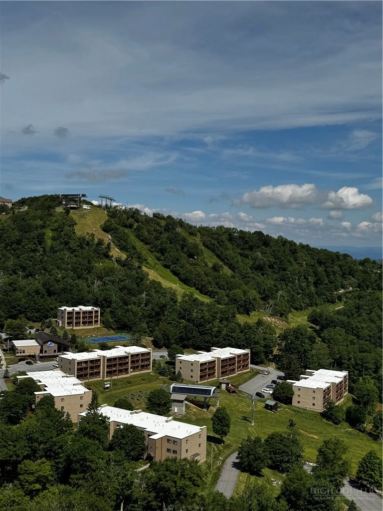 Image number 3 for the current listing