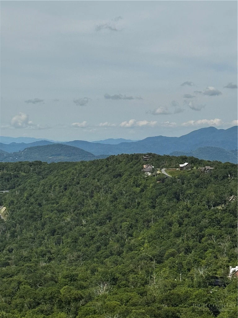Image number 13 for the current listing