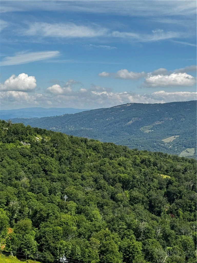 Image number 14 for the current listing
