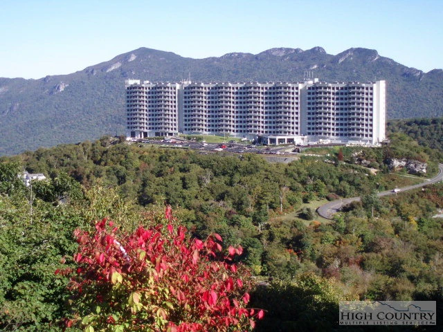 Image number 1 for the current listing