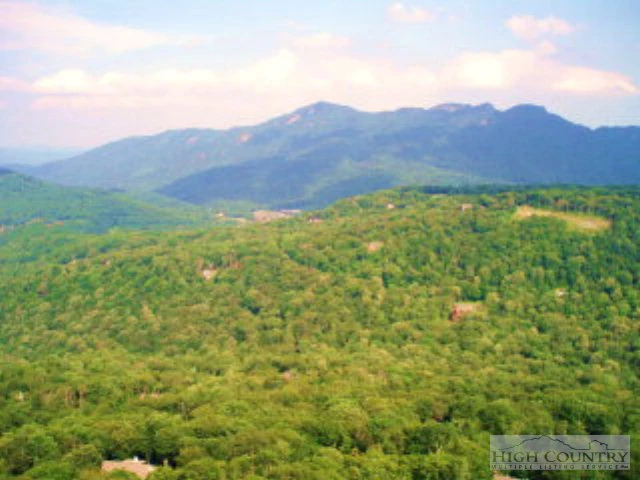 Image number 7 for the current listing