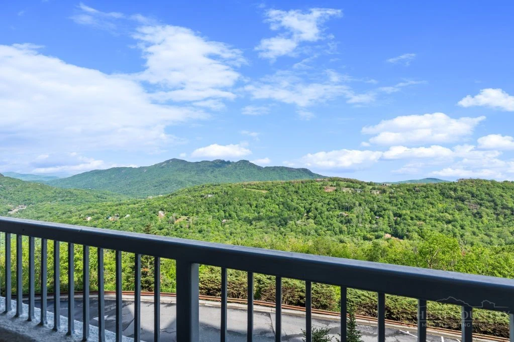 Image number 1 for the current listing