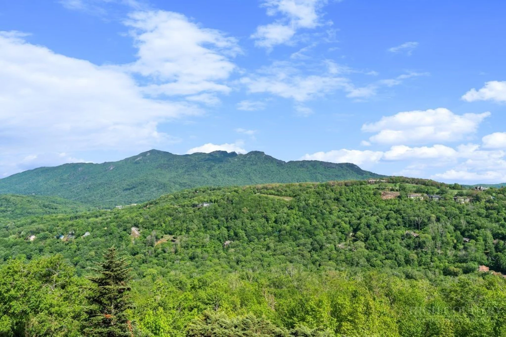 Image number 2 for the current listing