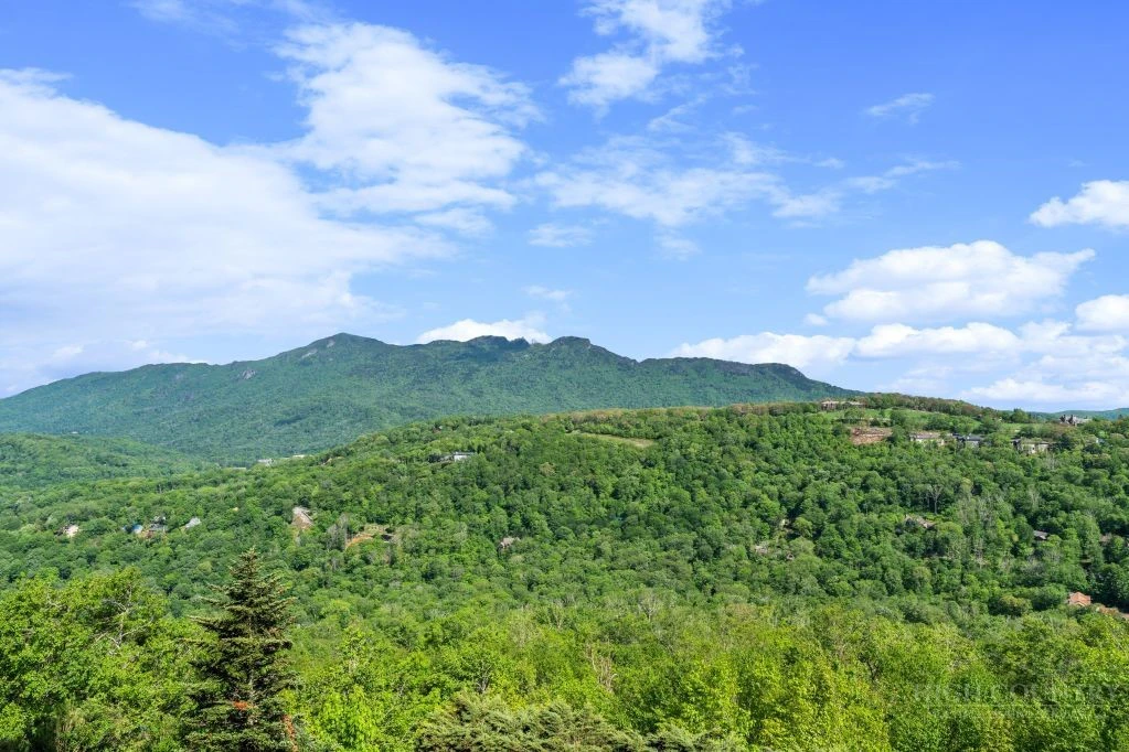 Image number 2 for the current listing