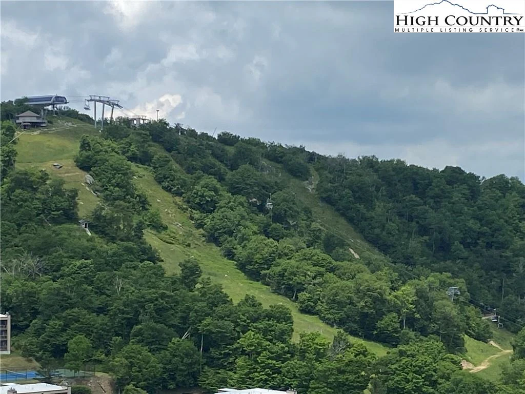 Image number 1 for the current listing