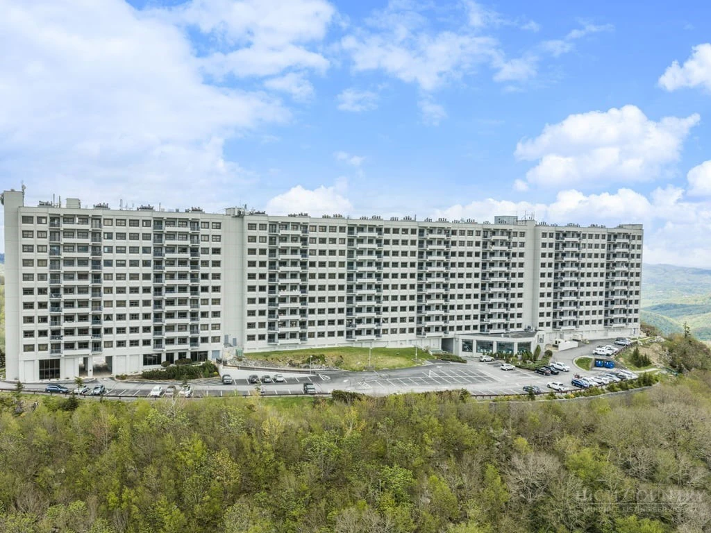 Image number 2 for the current listing