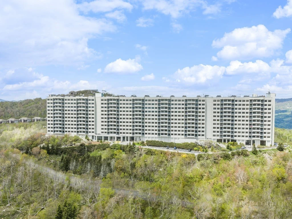 Image number 4 for the current listing