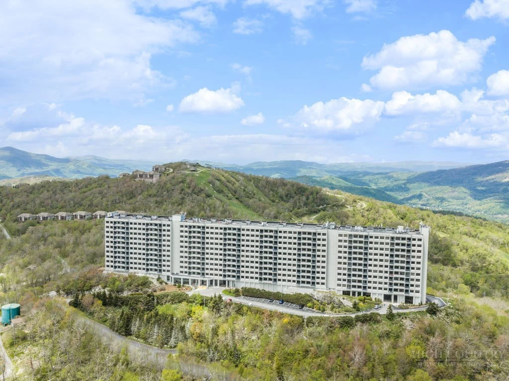 Image number 5 for the current listing