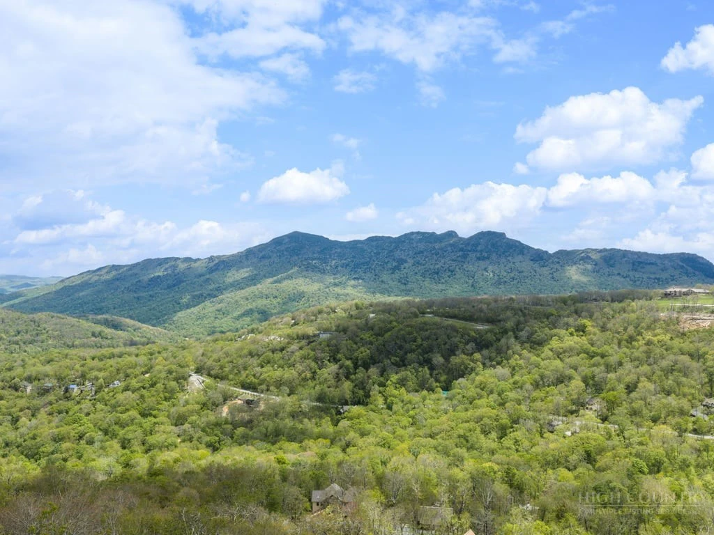 Image number 6 for the current listing