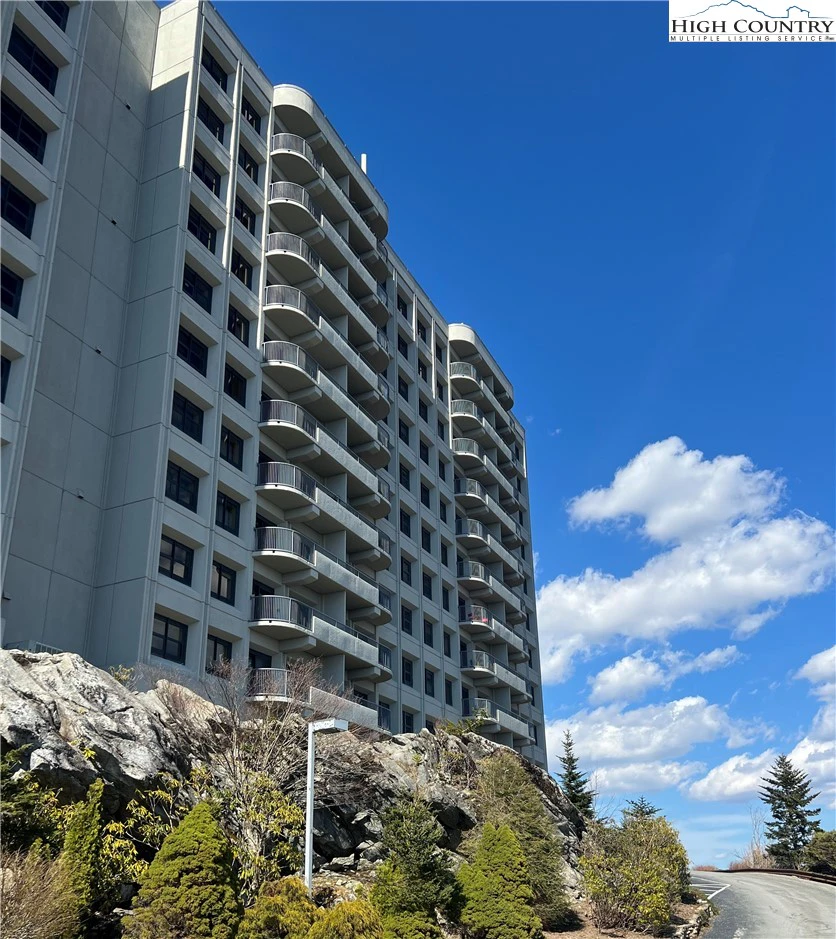 Image number 1 for the current listing