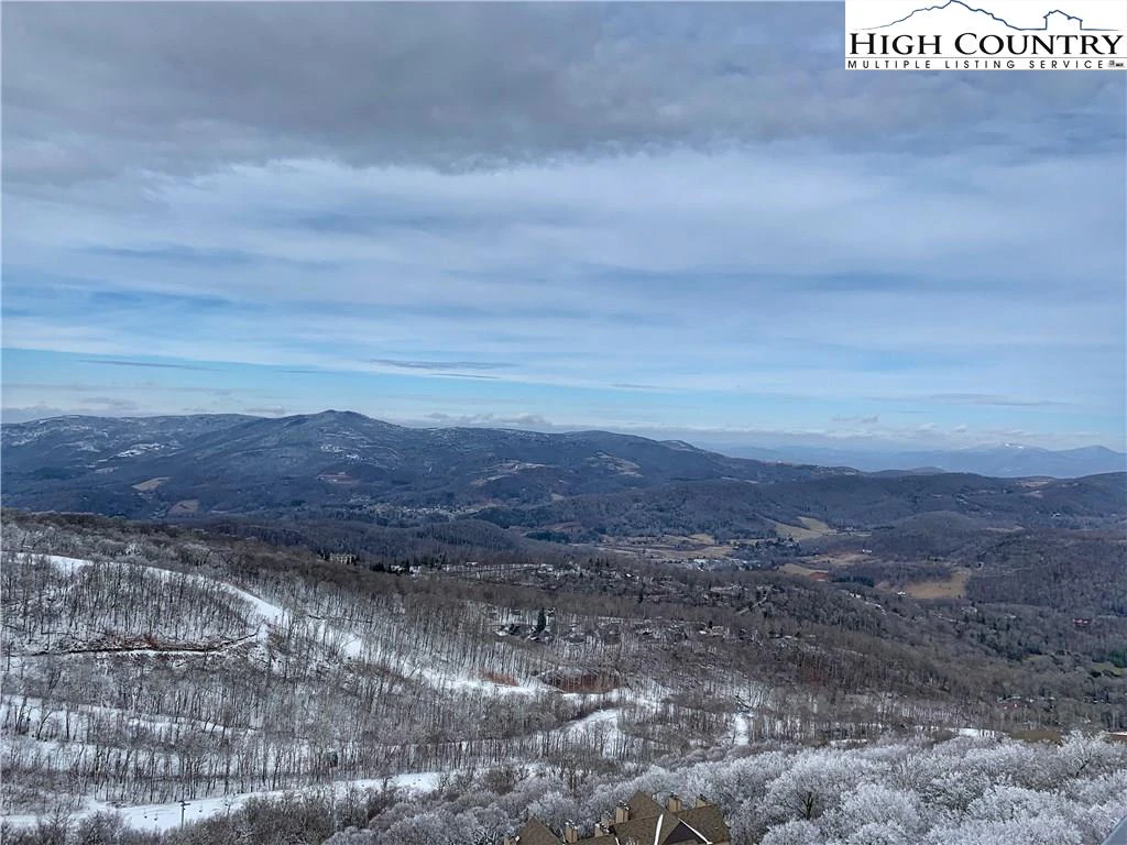 Image number 1 for the current listing