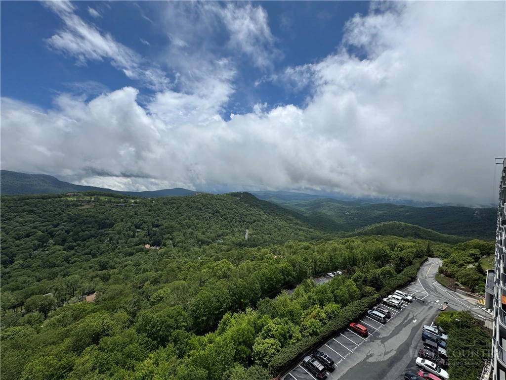 Image number 11 for the current listing