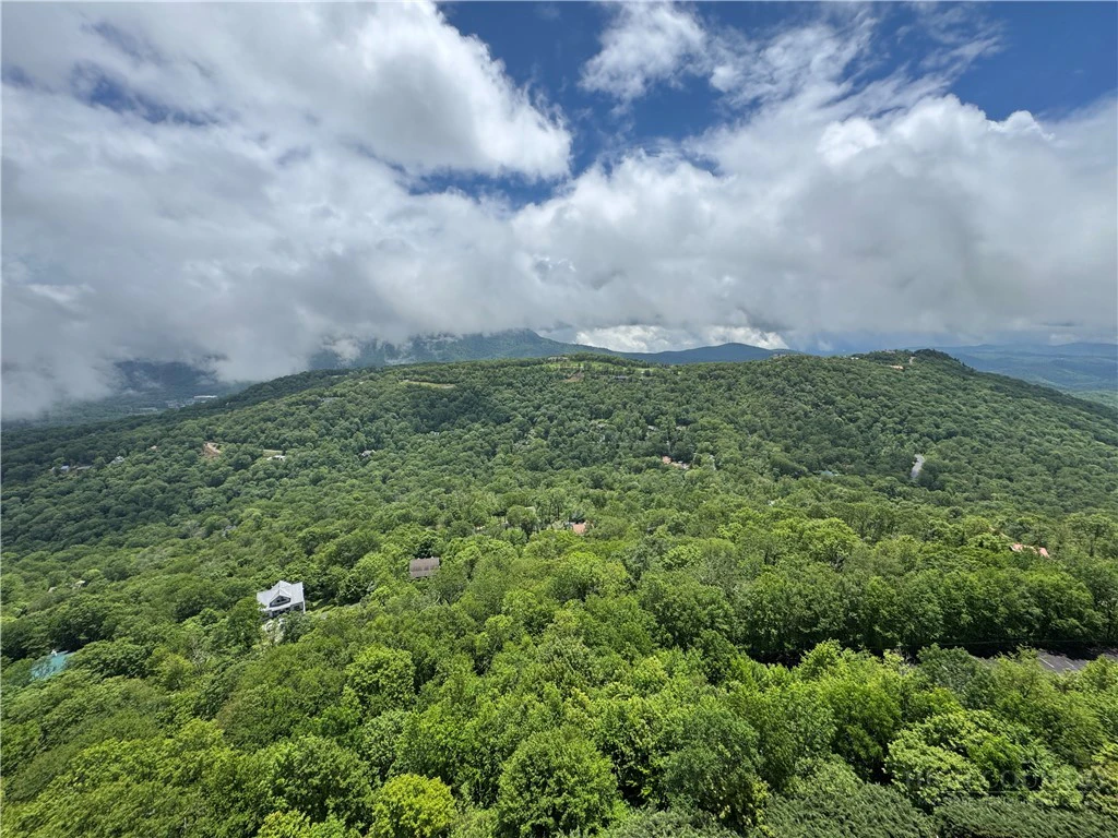 Image number 9 for the current listing
