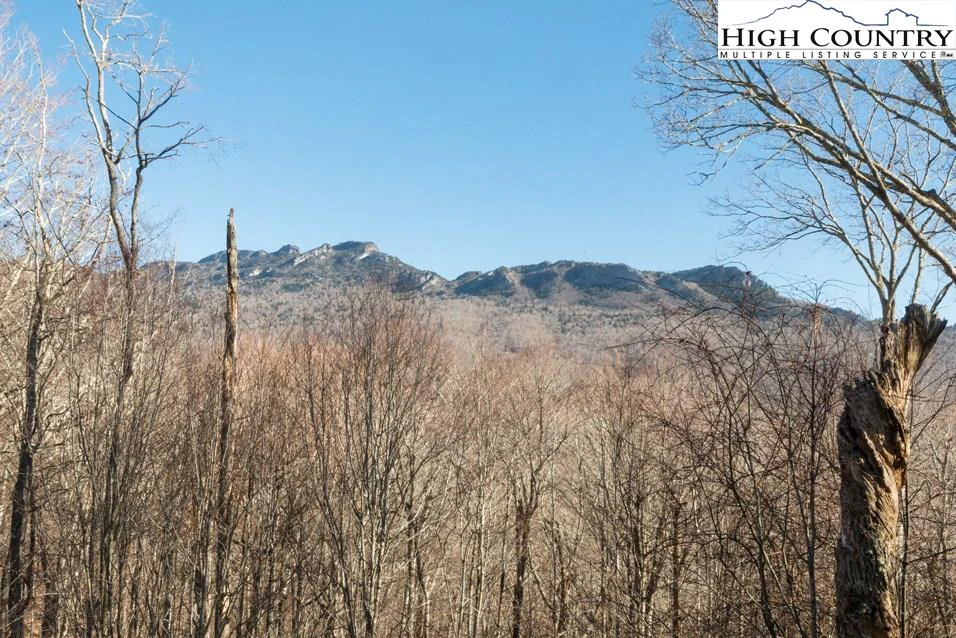 Image number 11 for the current listing