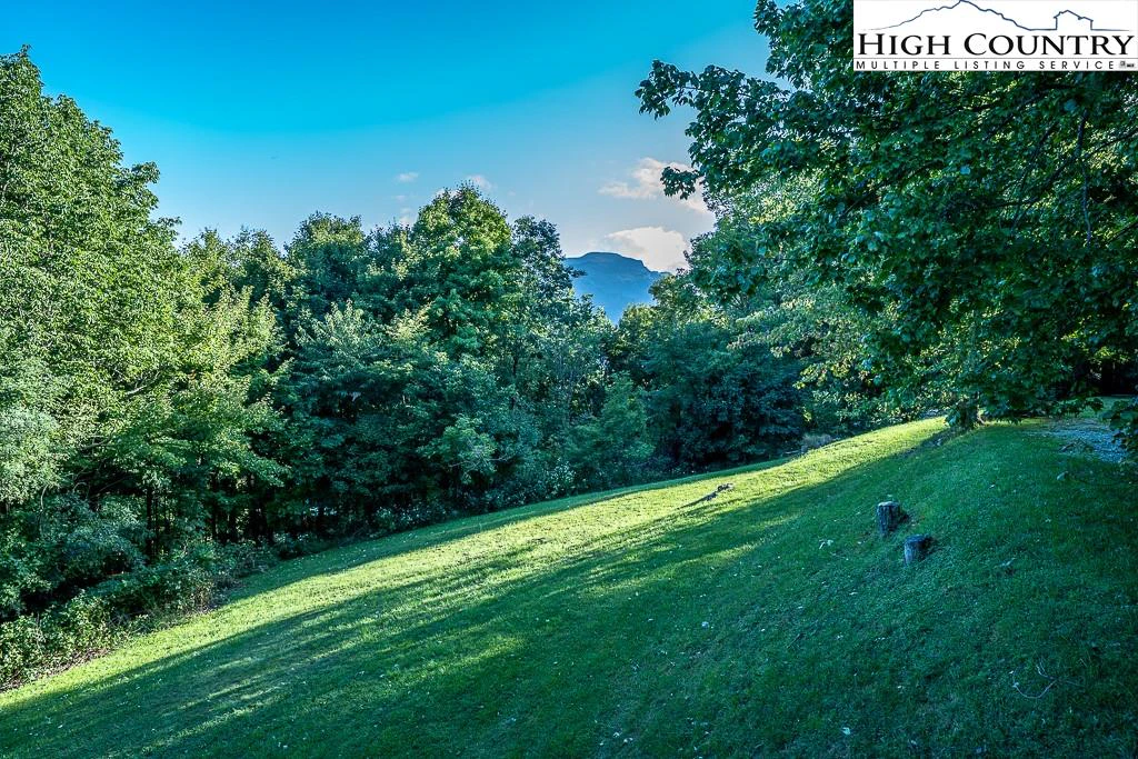 Image number 4 for the current listing