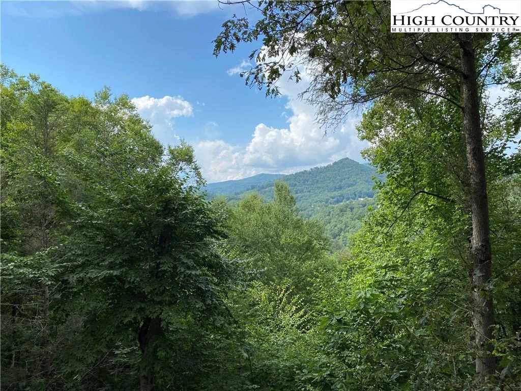 Image number 2 for the current listing