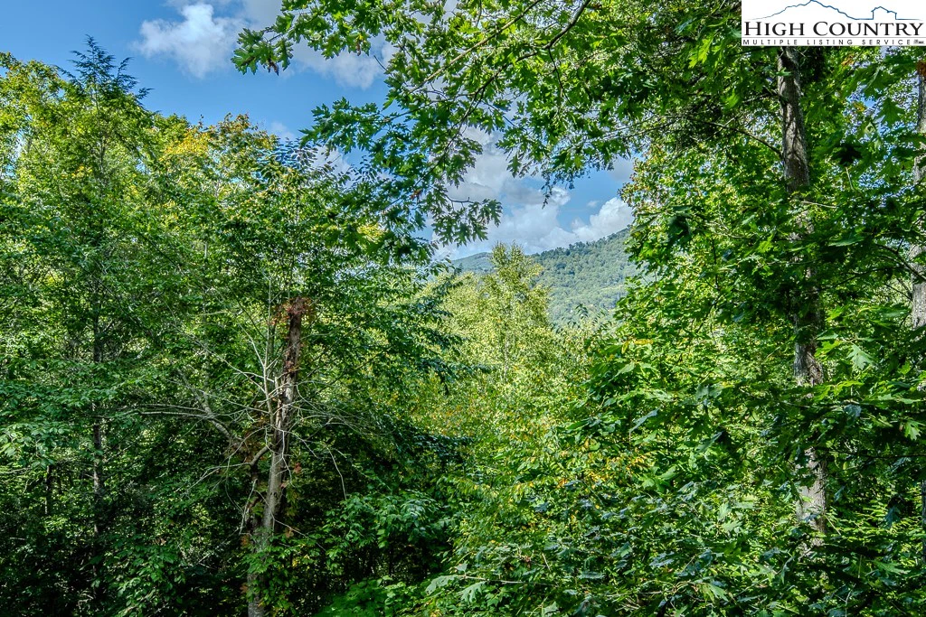 Image number 4 for the current listing