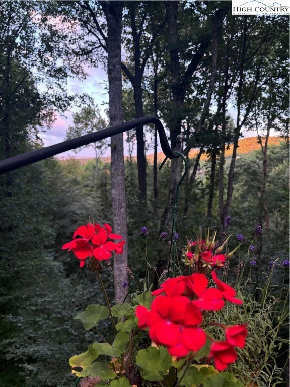 Image number 11 for the current listing