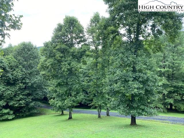 Image number 16 for the current listing