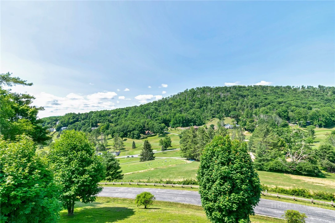 Image number 1 for the current listing