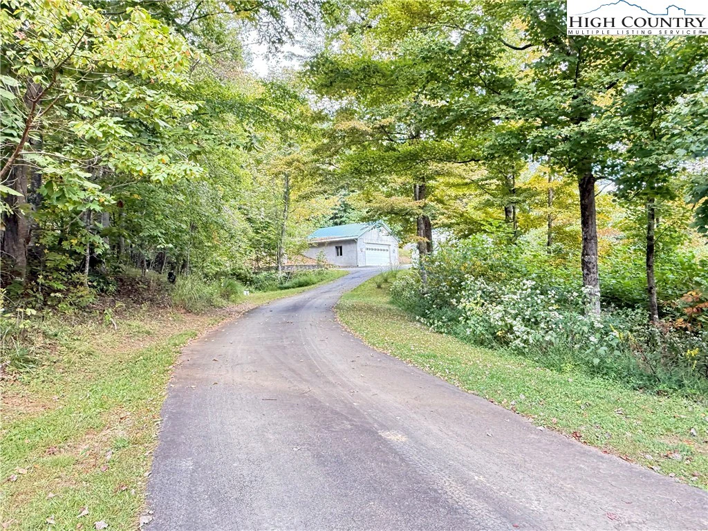 Image number 8 for the current listing
