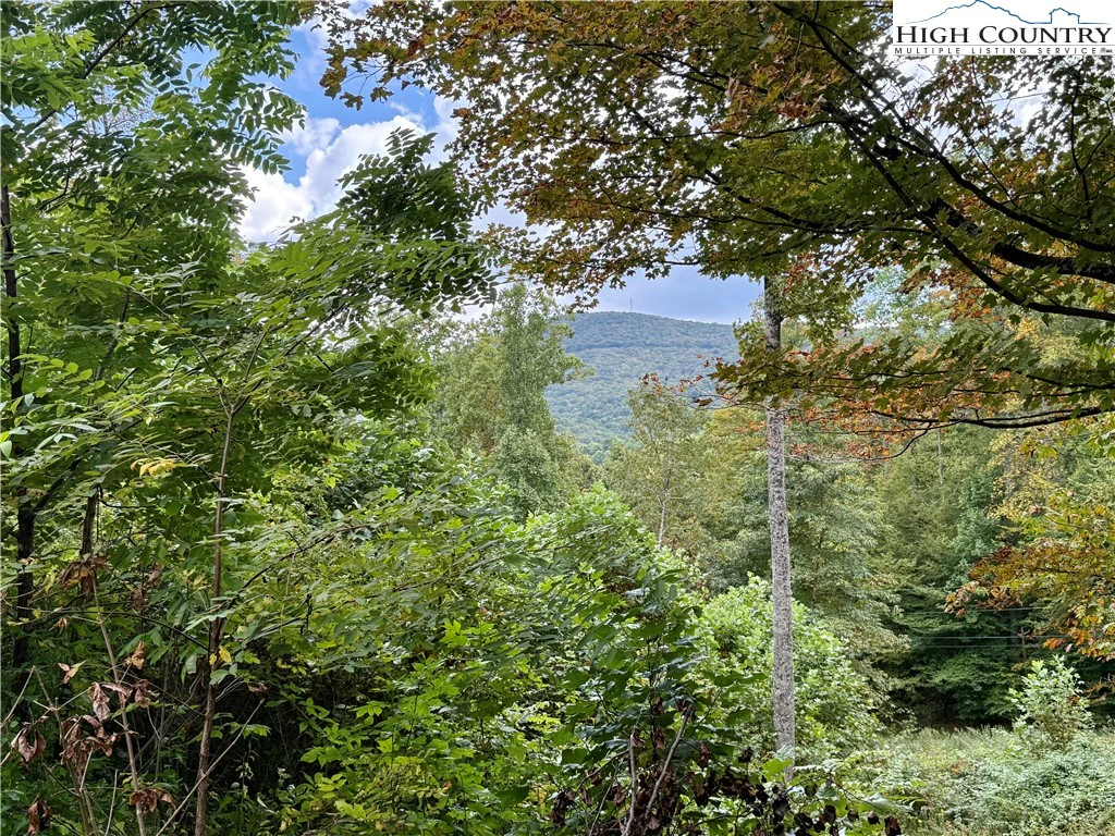 Image number 18 for the current listing