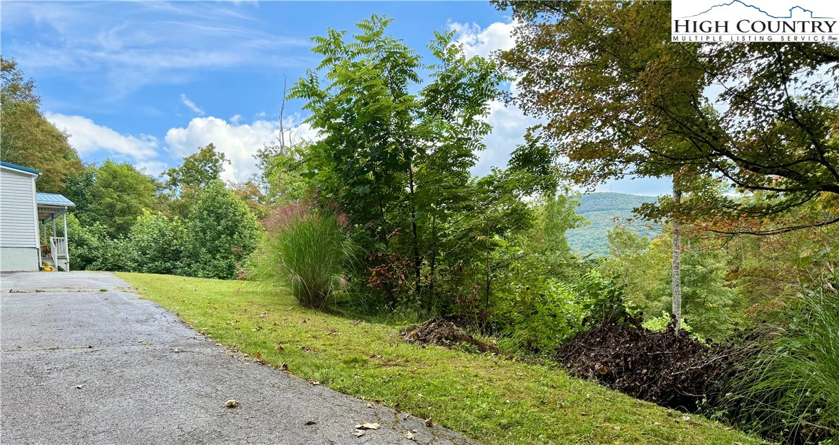 Image number 11 for the current listing