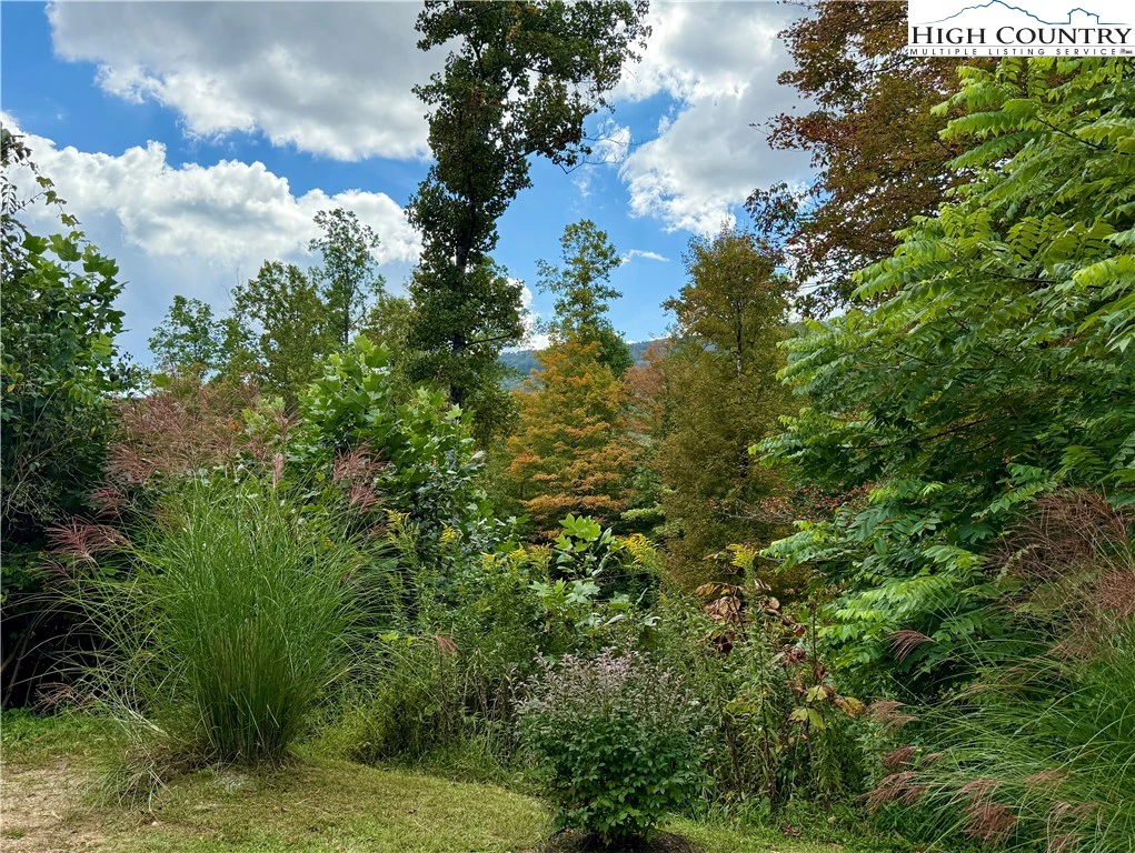 Image number 19 for the current listing
