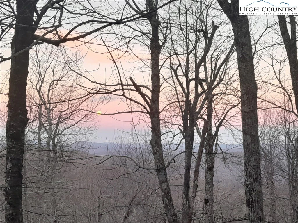 Image number 20 for the current listing