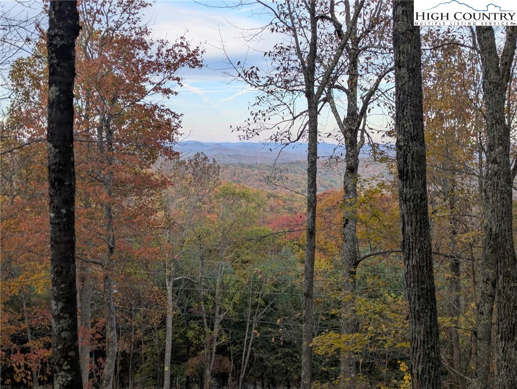 Image number 21 for the current listing