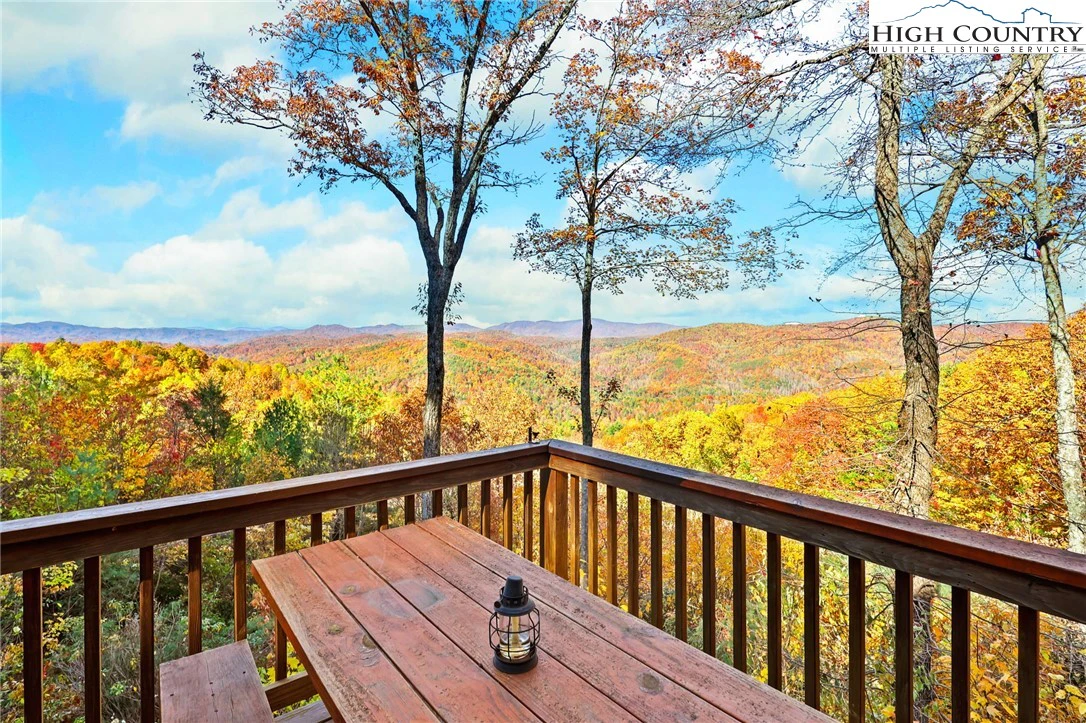Image number 2 for the current listing