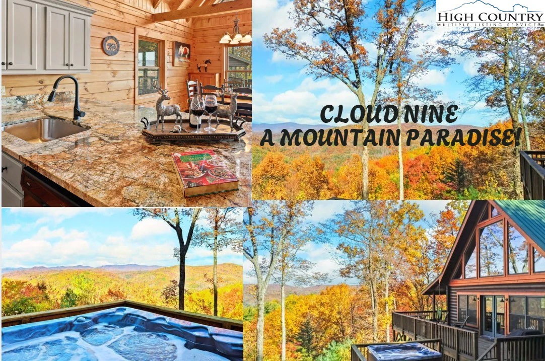 Image number 1 for the current listing