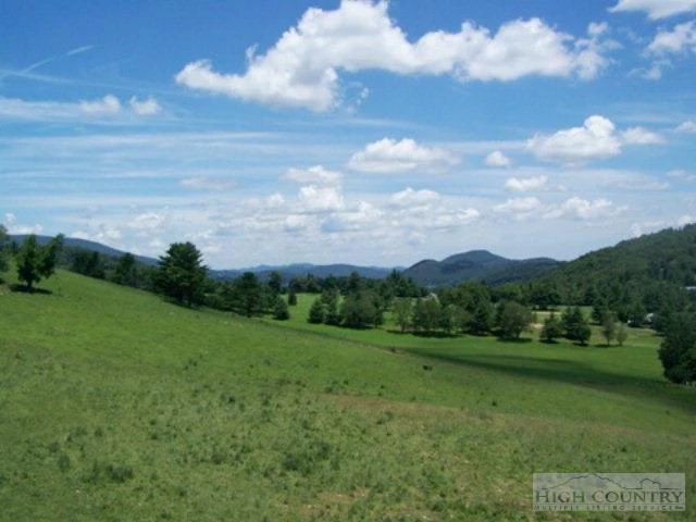 Image number 11 for the current listing