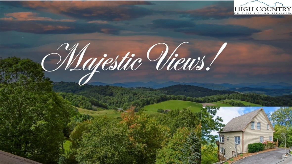 Image number 1 for the current listing