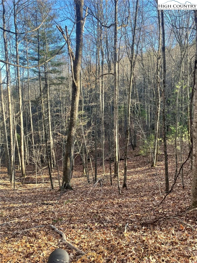 Image number 7 for the current listing