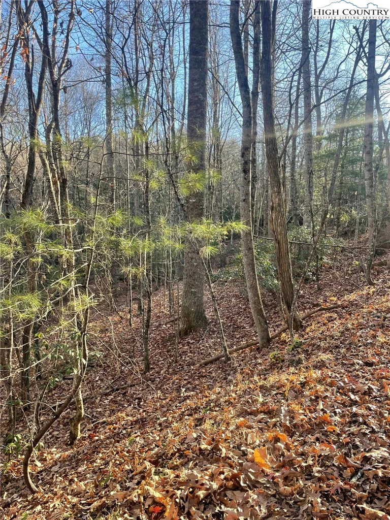 Image number 4 for the current listing