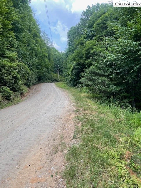 Image number 3 for the current listing