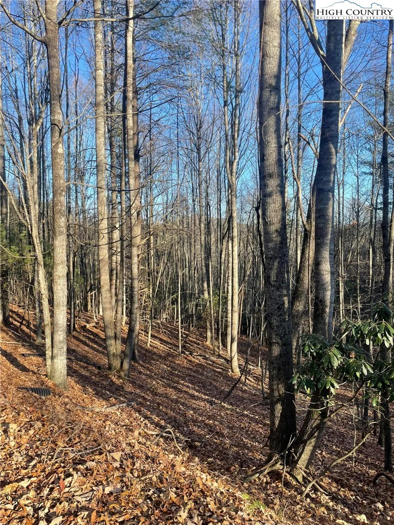 Image number 13 for the current listing