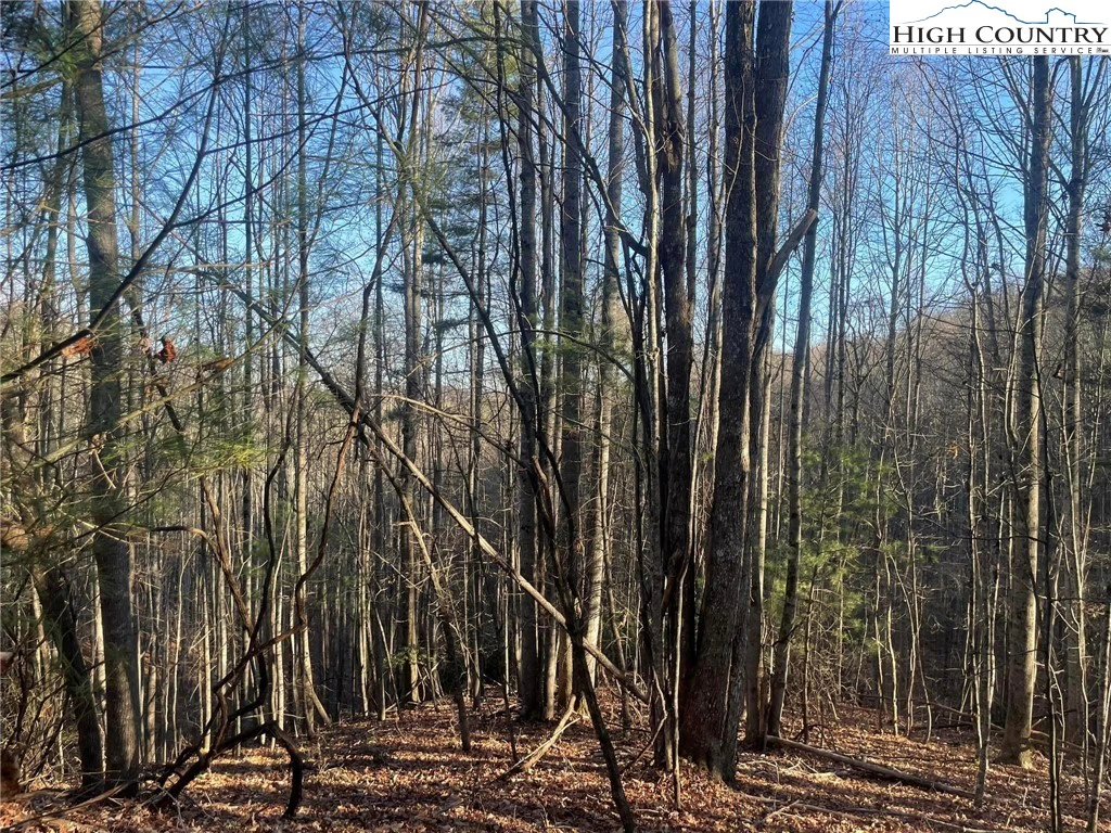 Image number 2 for the current listing