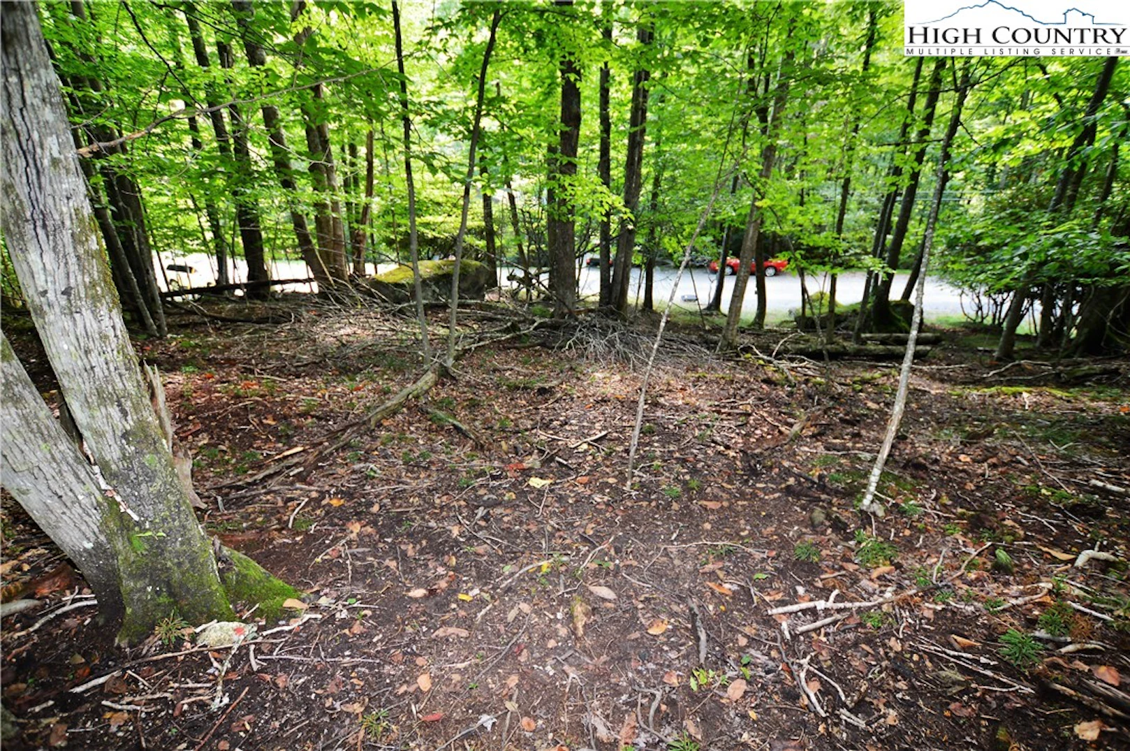 Image number 1 for the current listing