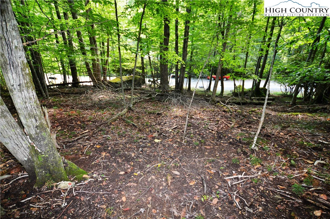 Image number 1 for the current listing