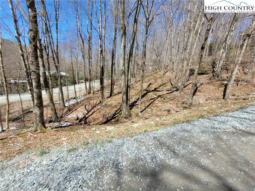 Image number 21 for the current listing