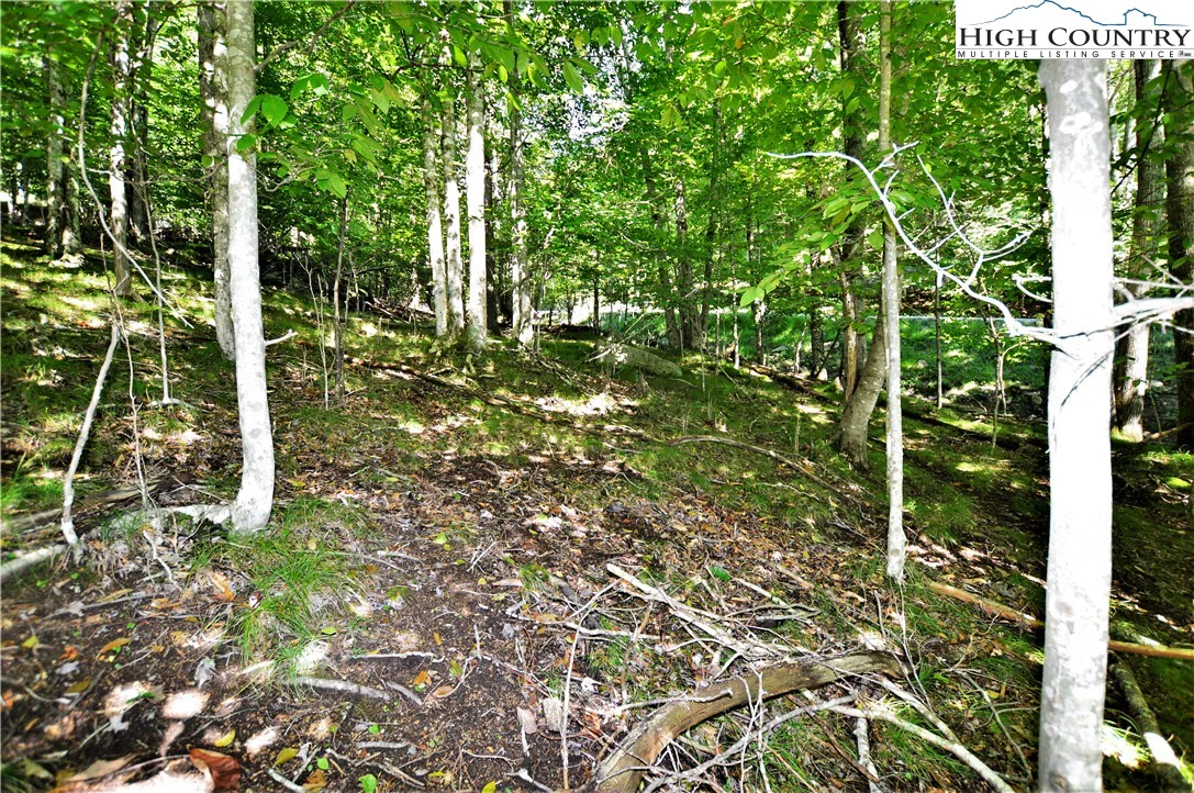 Image number 17 for the current listing