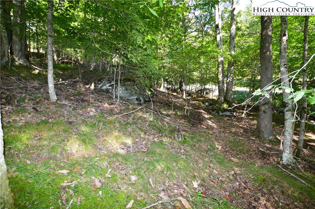 Image number 16 for the current listing