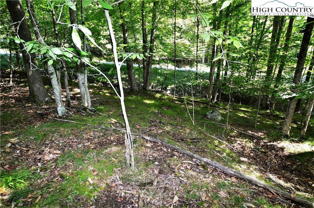 Image number 15 for the current listing