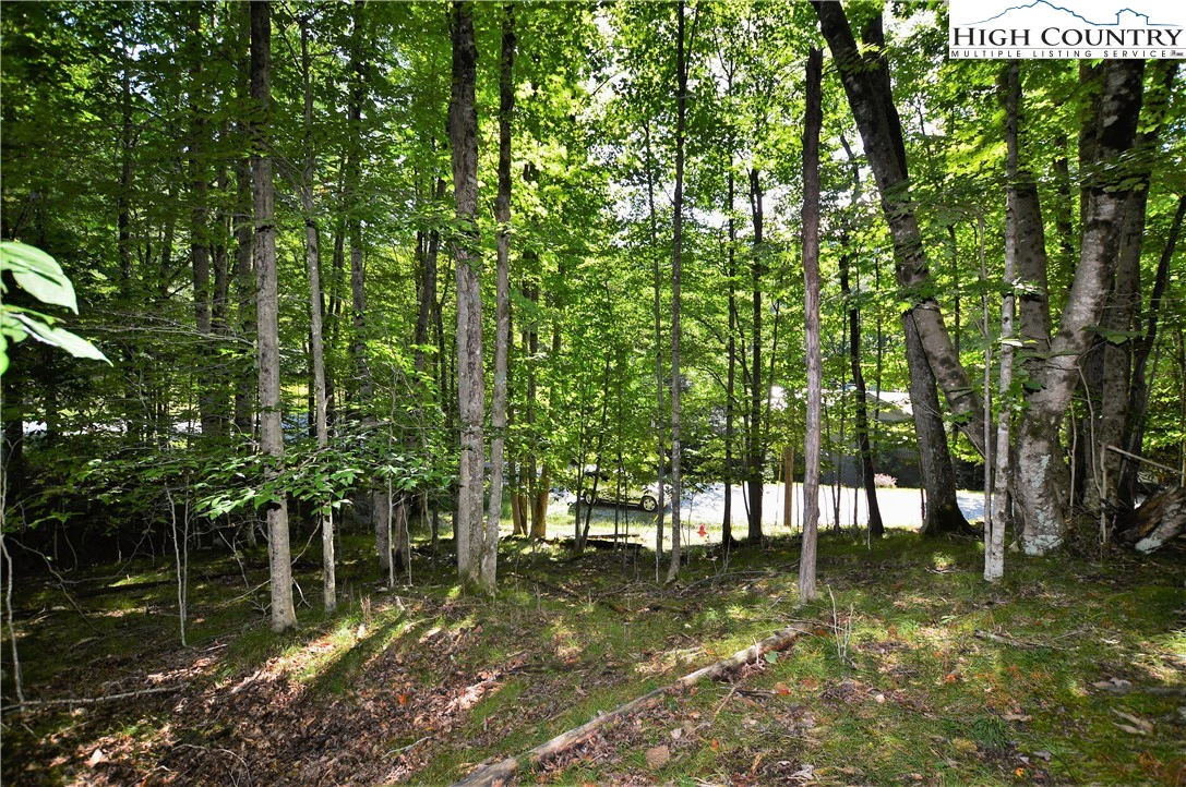 Image number 14 for the current listing