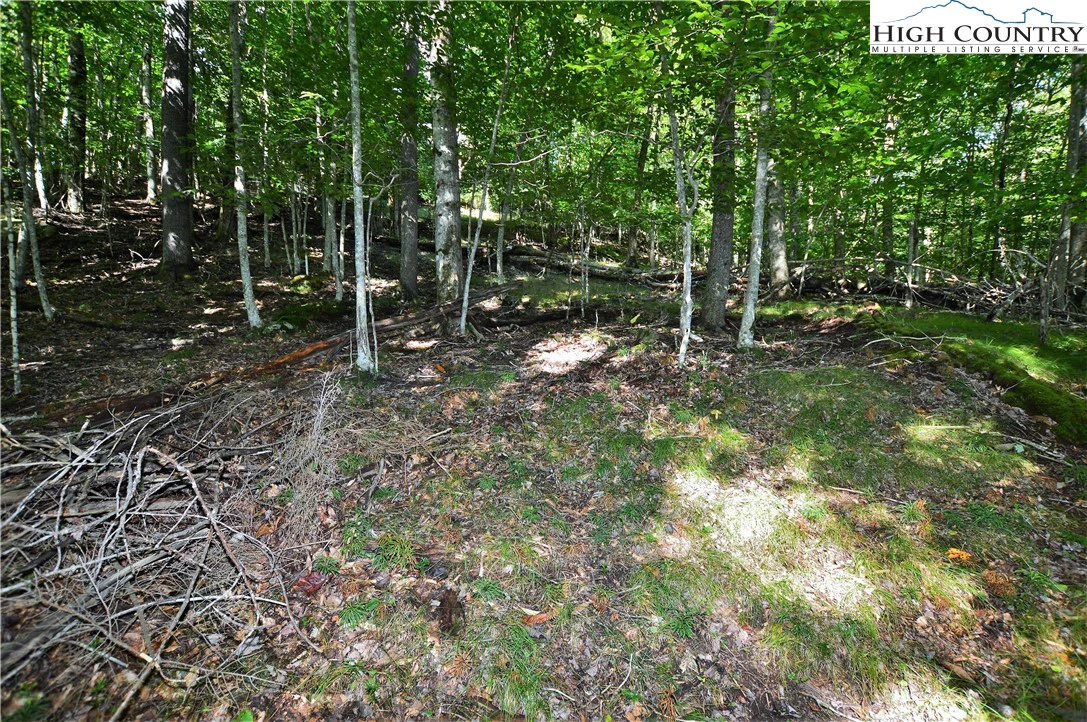Image number 13 for the current listing