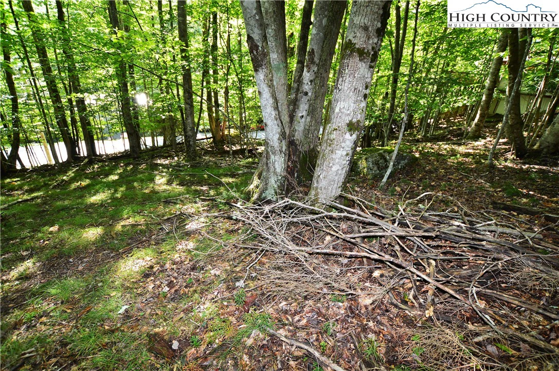 Image number 2 for the current listing