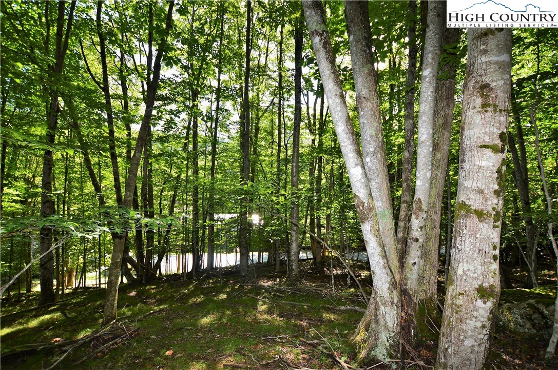 Image number 12 for the current listing